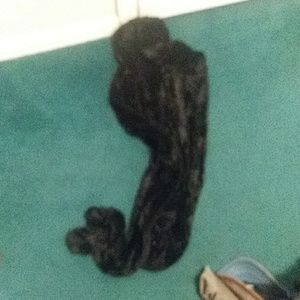 A Black Winter Scarf